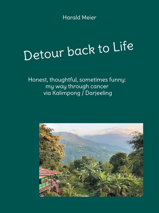 Cover image for Detour back to Life